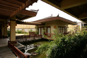lotus--pond_big.jpg